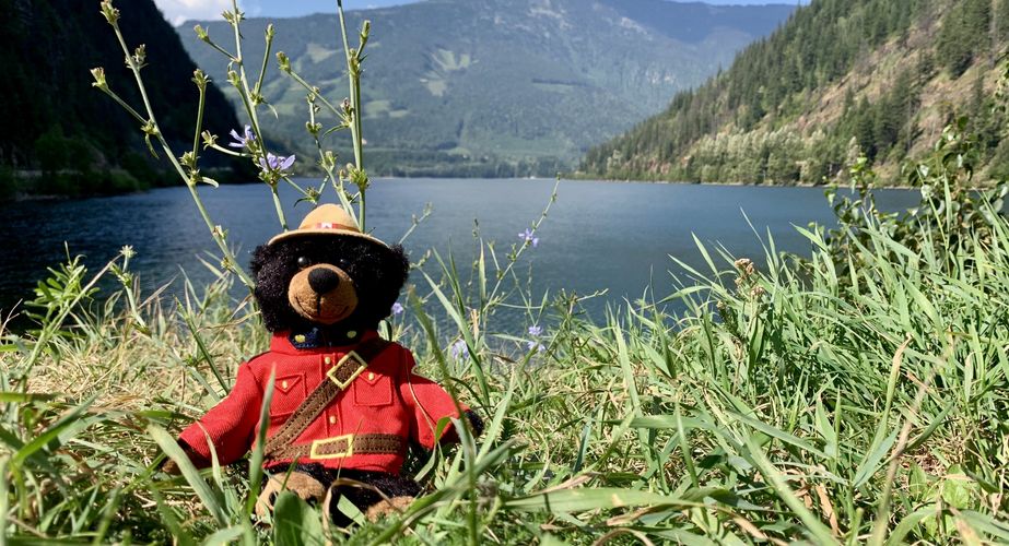 28 38 Canada 39 28 38 Canada 39